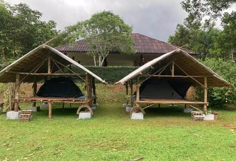 Khao Sok Hill Top Resort