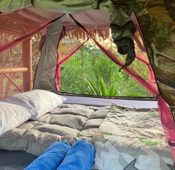 Khao Sok Hill Top Resort