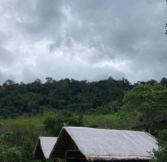 Khao Sok Hill Top Resort