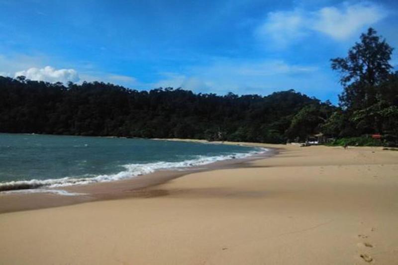 리조트 Flower Power Farm Village