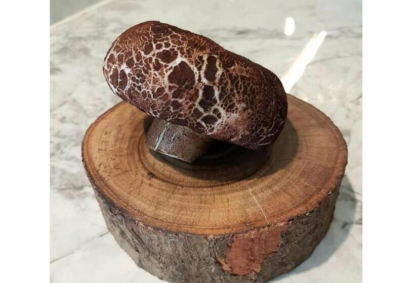 Madera Residence Sriracha