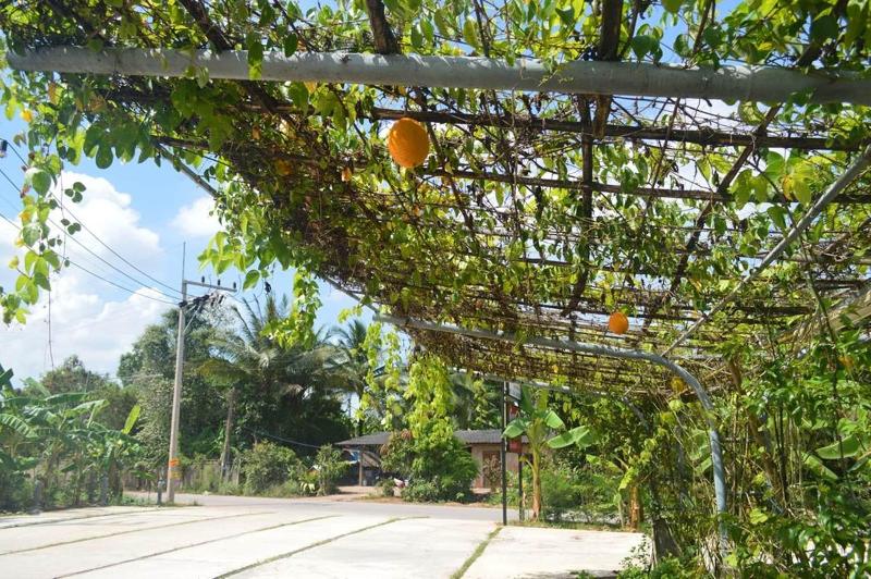 Be Fine Sabuy Hotel And Resort