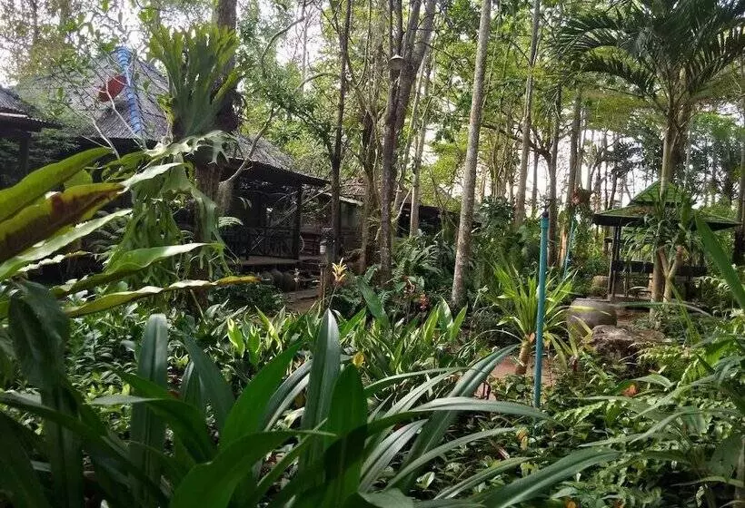 Pang Mai Resort