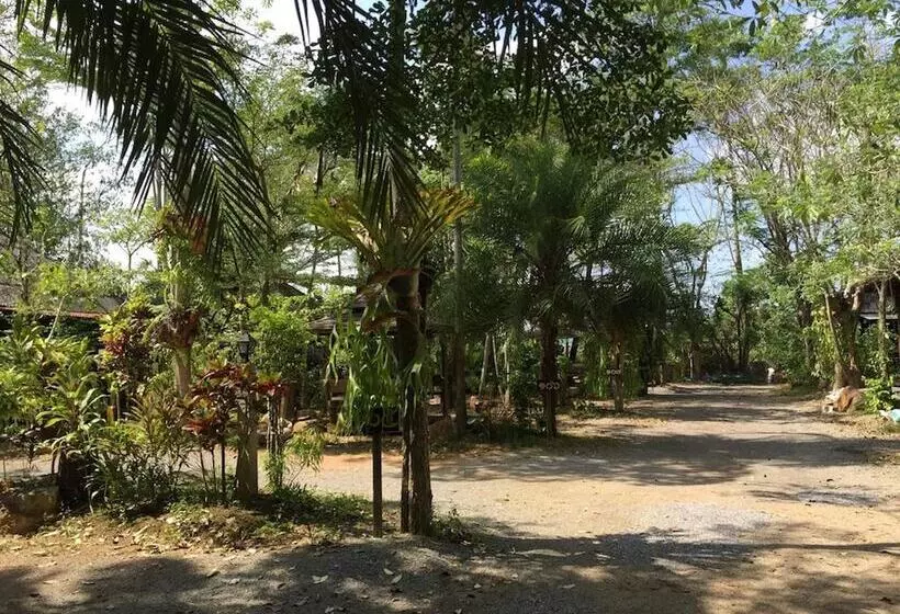 Pang Mai Resort