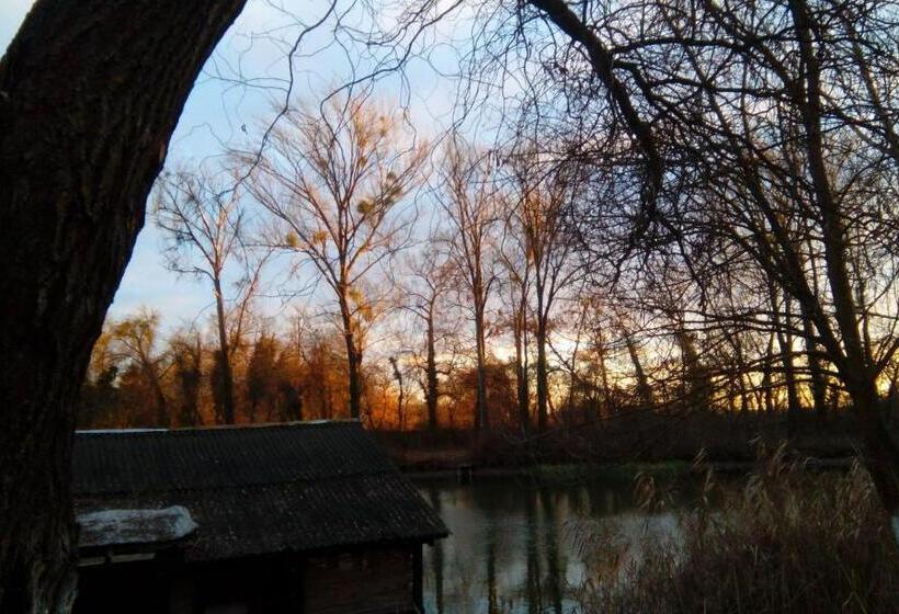 استراحتگاه Chalets & Rooms čarda šebešfok