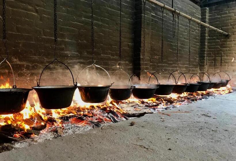 استراحتگاه Chalets & Rooms čarda šebešfok