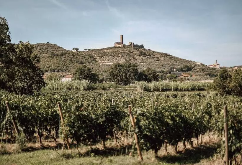 تختخواب و صبحانه Agriturismo La Pievuccia
