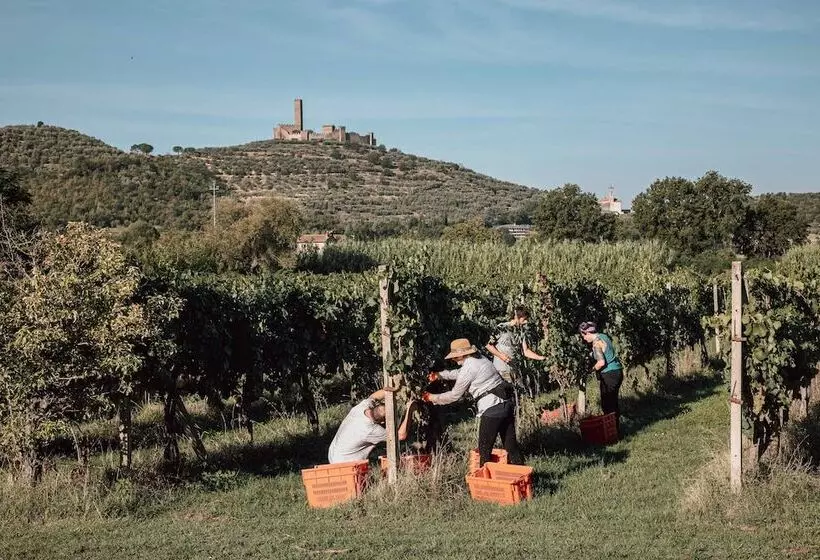 تختخواب و صبحانه Agriturismo La Pievuccia
