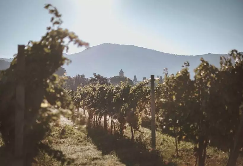 تختخواب و صبحانه Agriturismo La Pievuccia