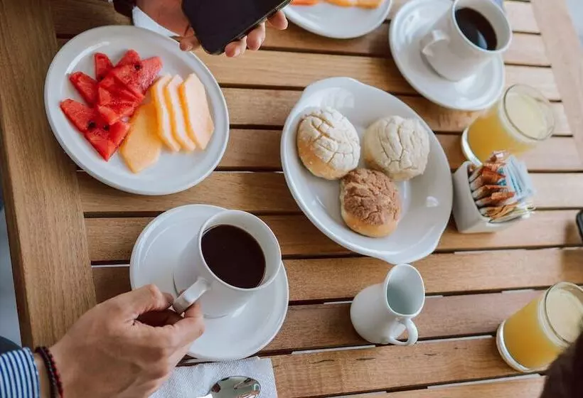 Gran Hotel Concordia Irapuato