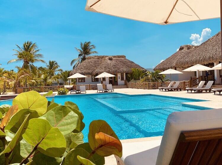 هتل Cana Pearl By The Oxo House