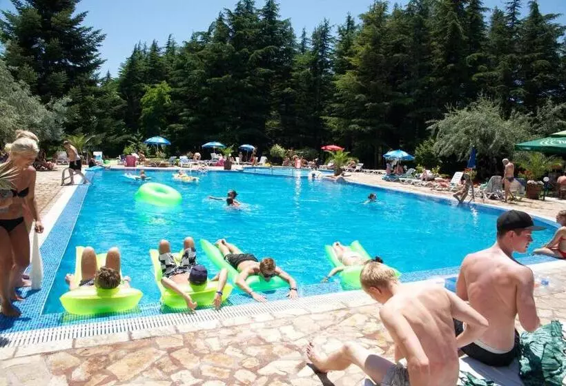 هتل Dunav