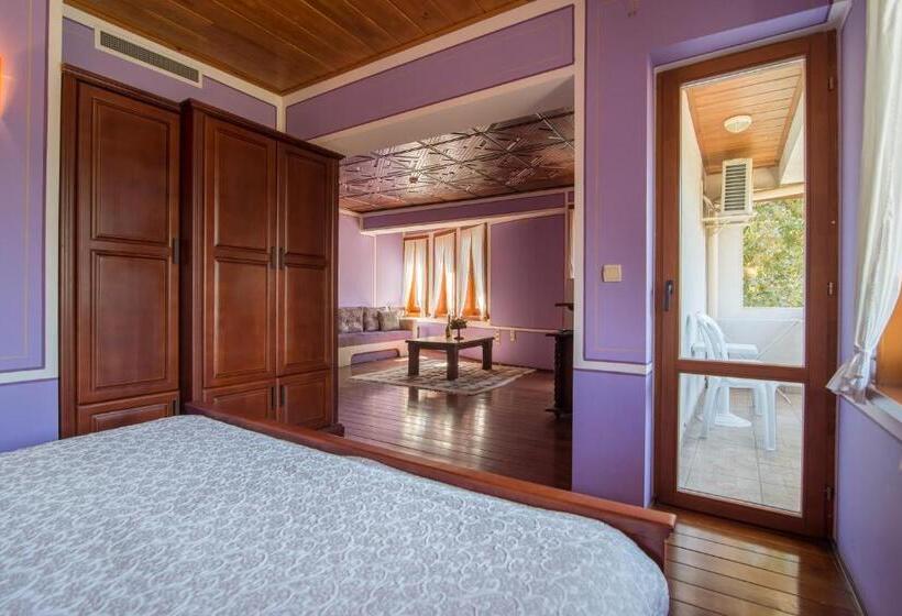 בית מלון כפרי Izvora