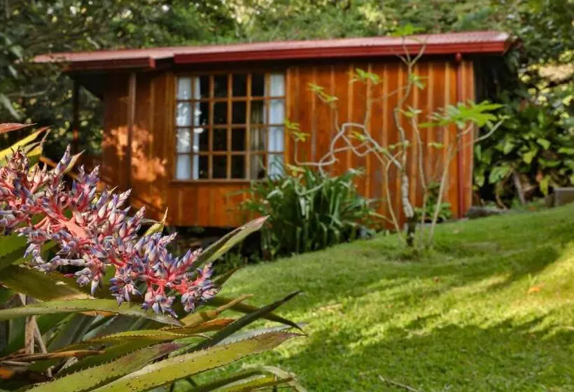 ホテル Arco Iris Lodge