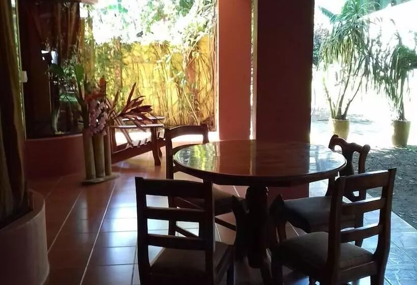 هتل Arenas De Osa