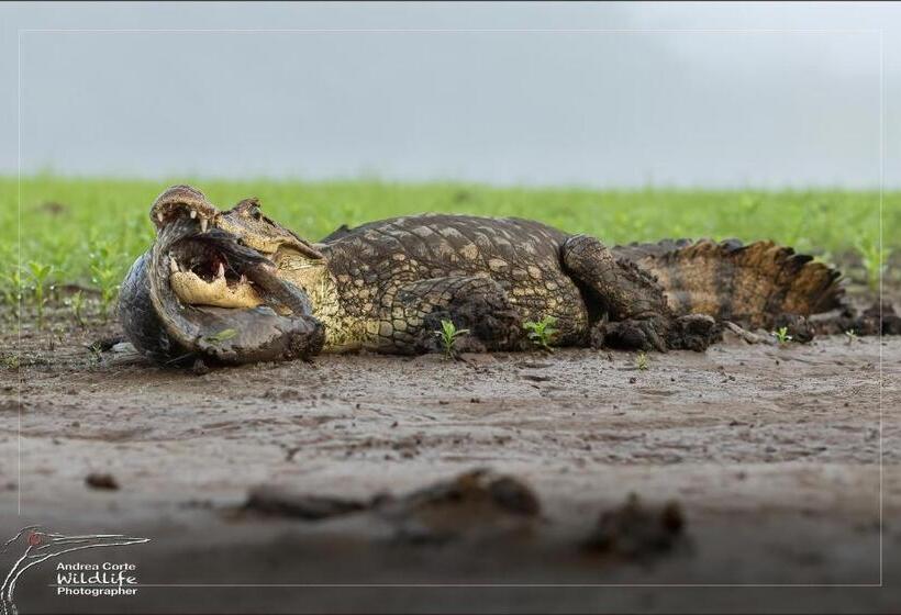 酒店 De Campo Caño Negro