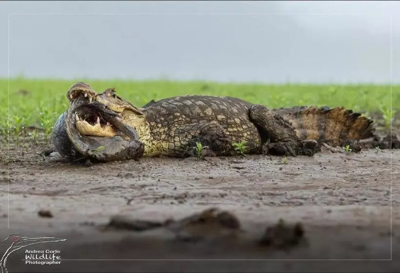 ホテル De Campo Caño Negro