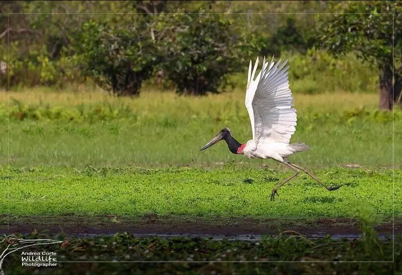 ホテル De Campo Caño Negro