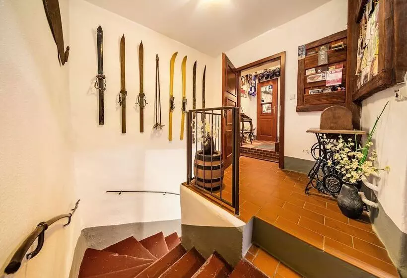Hotelli Pension Blume