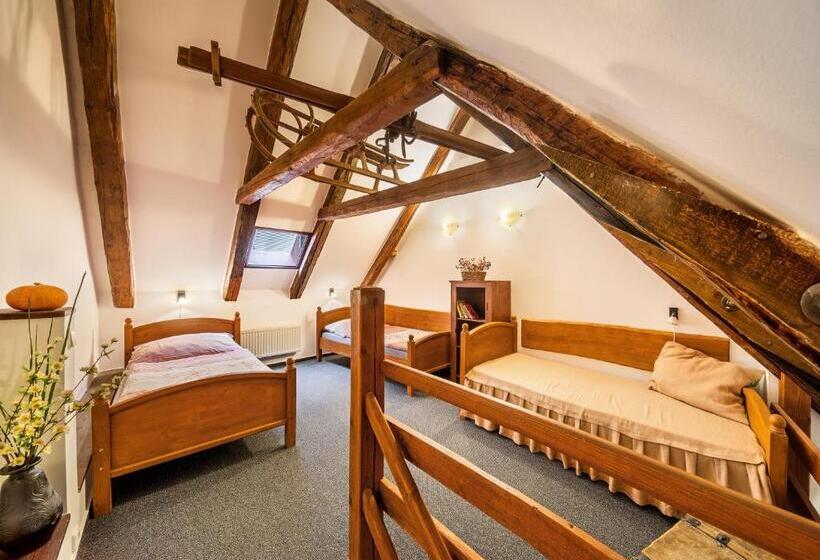 فندق Pension Blume