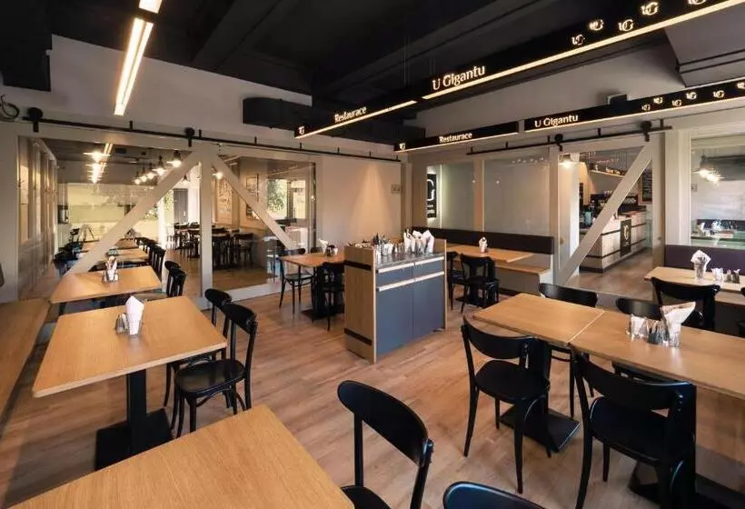هتل Penzion U Gigantu