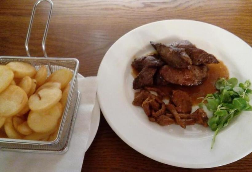 בית מלון כפרי Penzion U Jelena