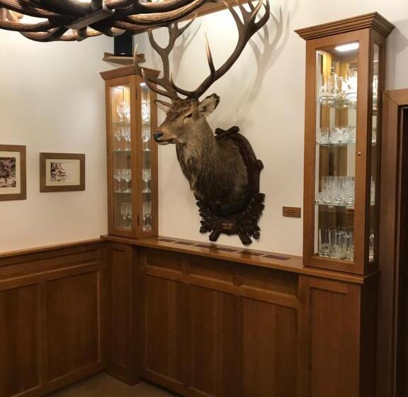 בית מלון כפרי Penzion U Jelena