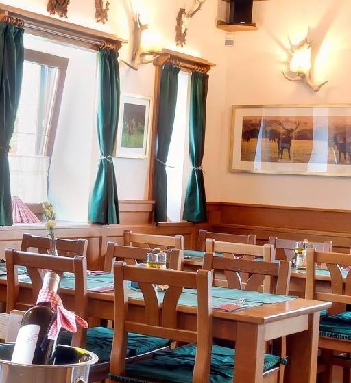 בית מלון כפרי Penzion U Jelena