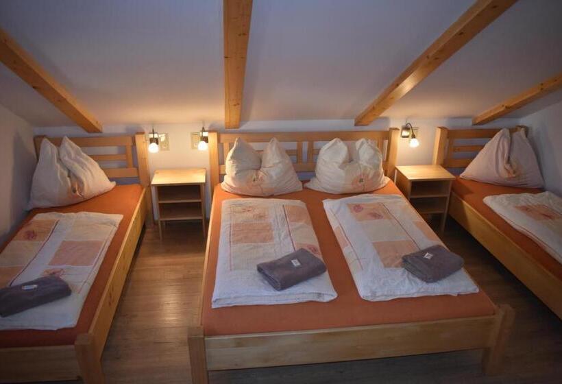 בית מלון כפרי Penzion U Jelena