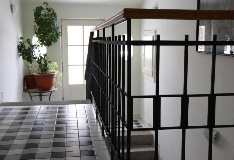 ホテル Penzion Vila Elektra