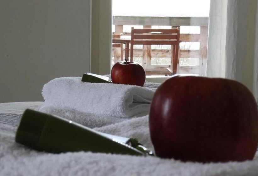 ホテル Penzion Vila Elektra