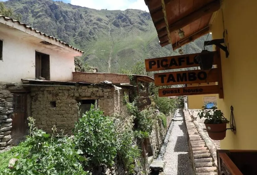 Hotelli Picaflor Tambo Guest House