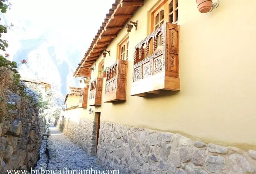 Hotelli Picaflor Tambo Guest House