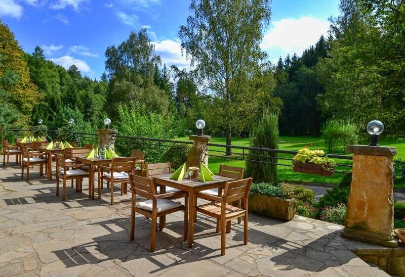 Отель Resort Lesní Lázně