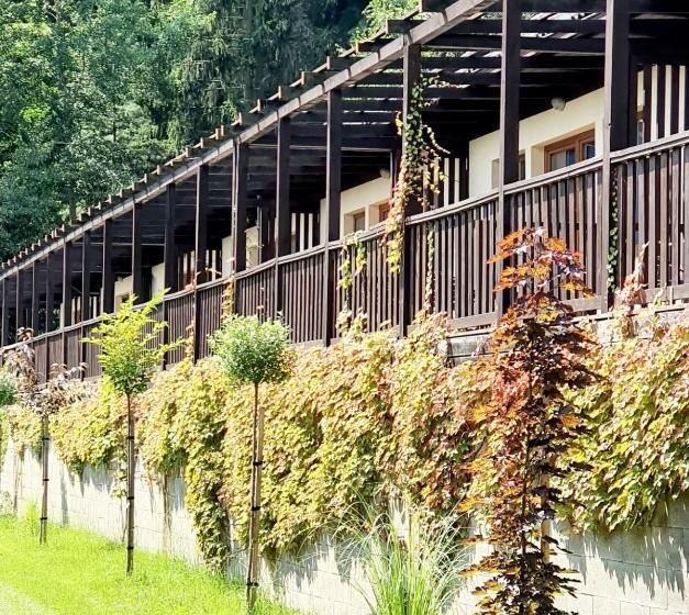 Отель Resort Lesní Lázně