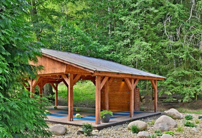Отель Resort Lesní Lázně