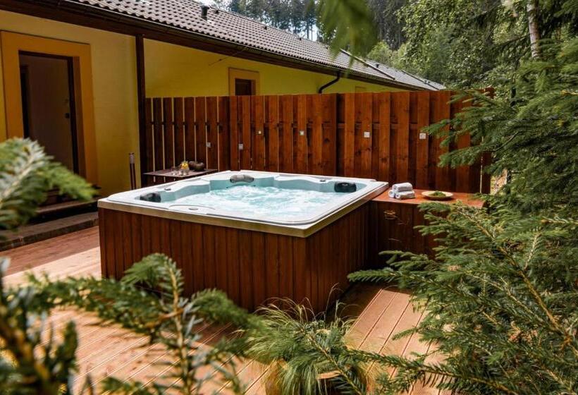 Отель Resort Lesní Lázně