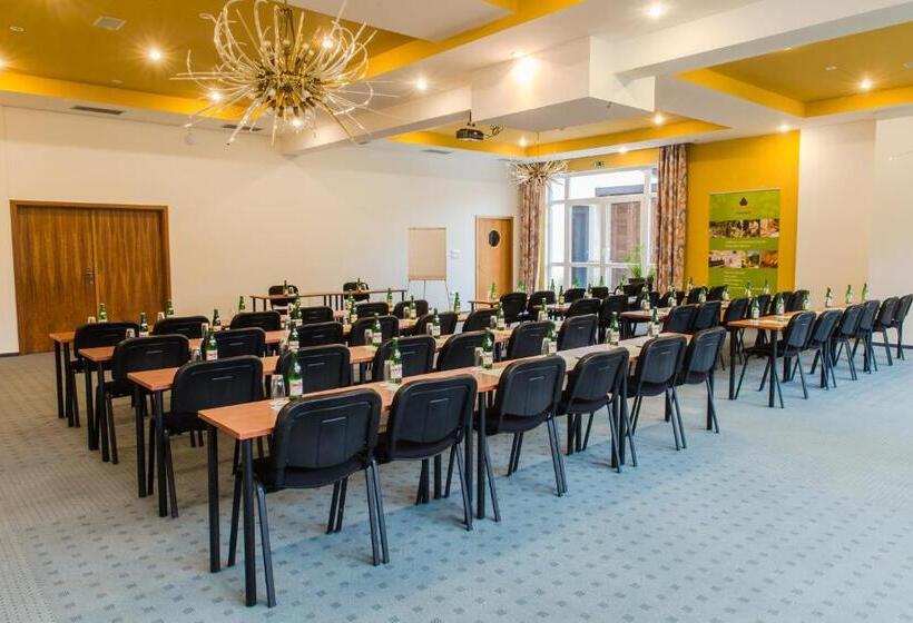 Отель Resort Lesní Lázně