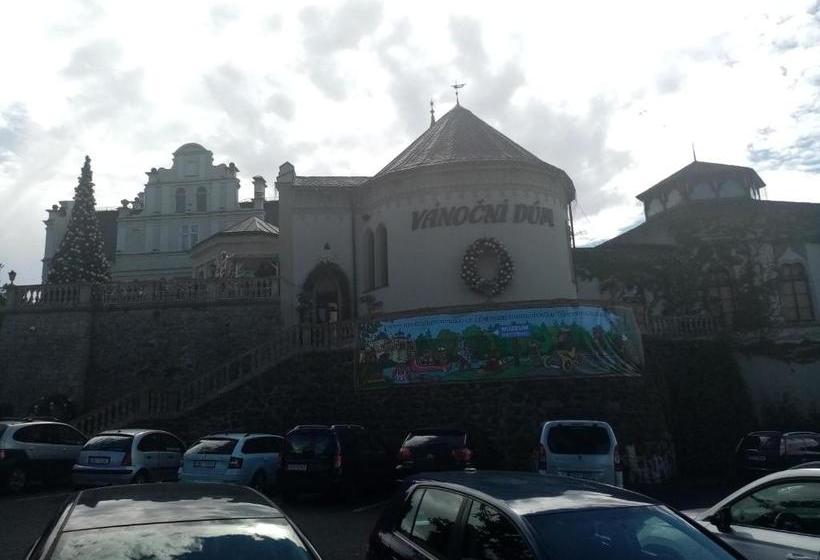 Szálloda Vila Anton