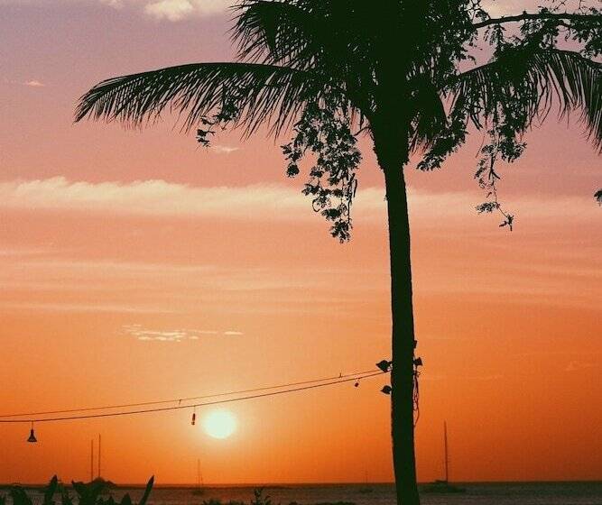 Sirena Serena B&b Retreat