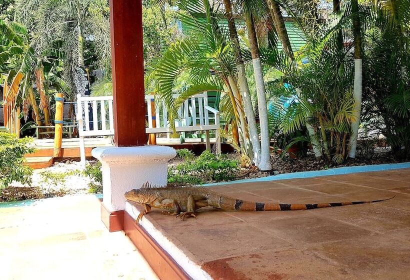 Sirena Serena B&b Retreat