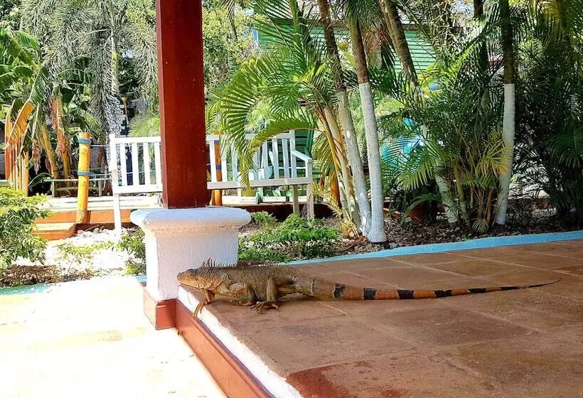 Sirena Serena B&b Retreat