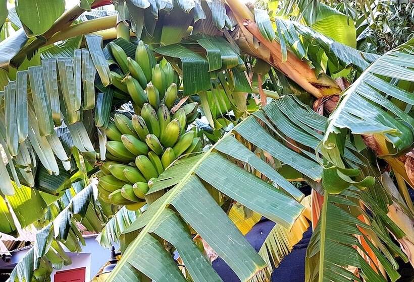 Sirena Serena B&b Retreat