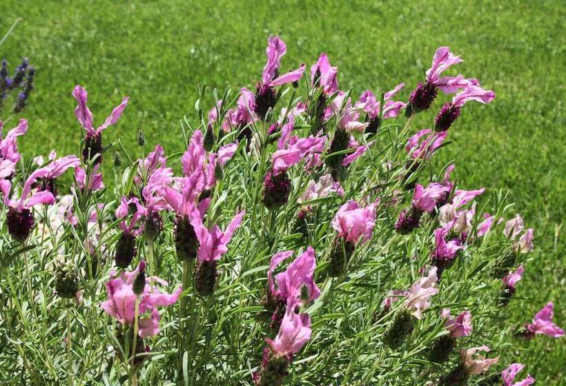 Garça Real Hotel & Spa