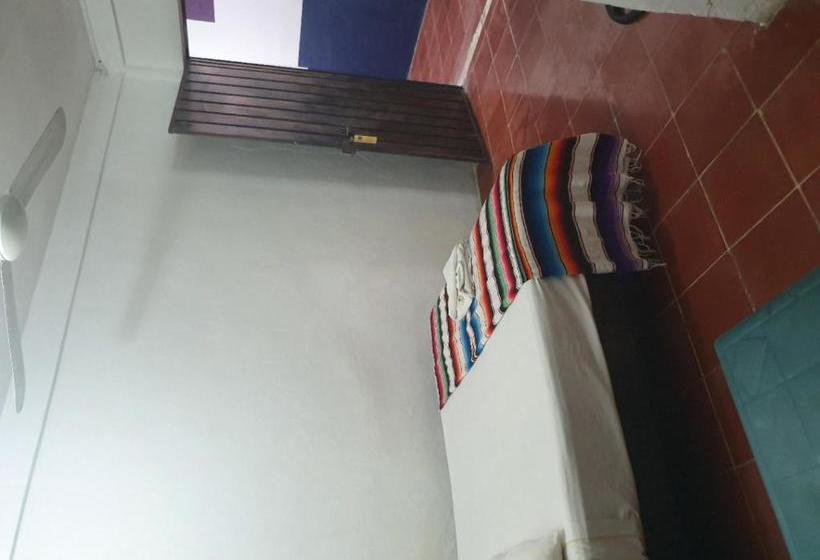 فندق Colonial San Carlos