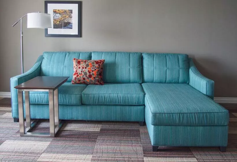 ホテル Hampton Inn & Suites Moore