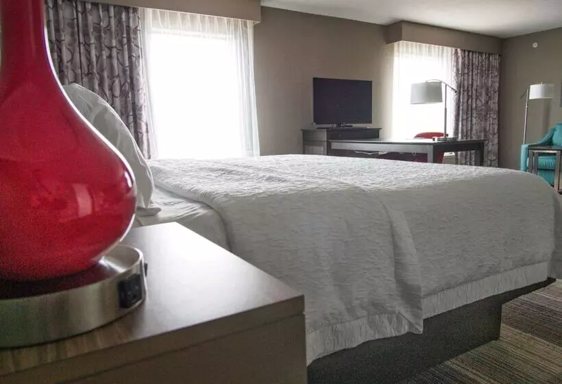 ホテル Hampton Inn & Suites Moore