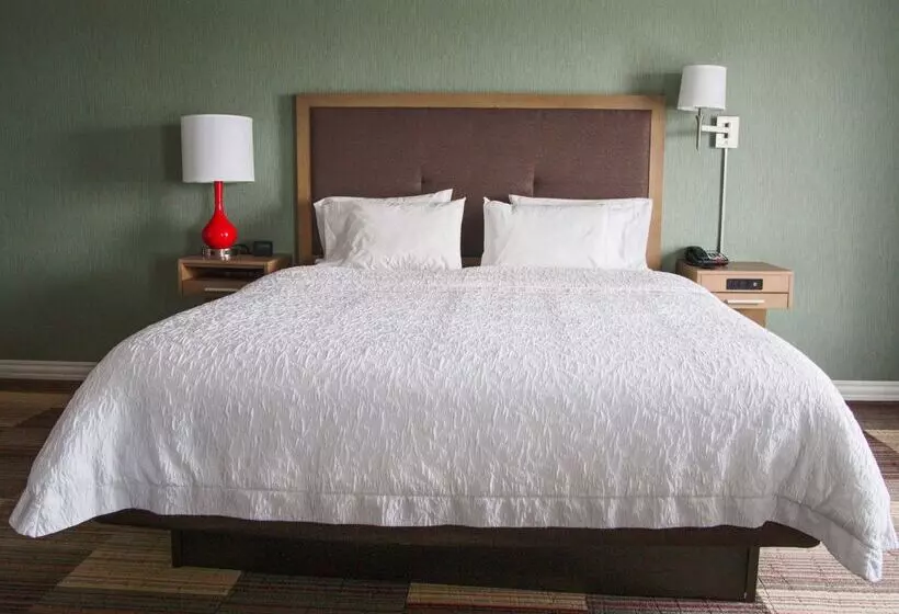ホテル Hampton Inn & Suites Moore