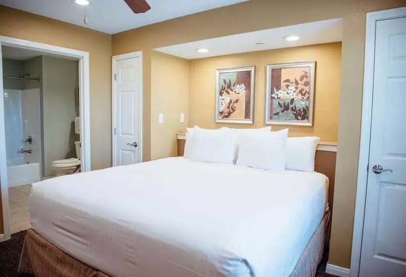 ホテル Holiday Inn Club Vacations Galveston Seaside Resort By Ihg
