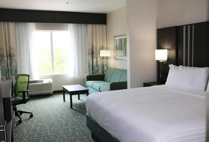 ホテル Holiday Inn Express & Suites   Hendersonville Se   Flat Rock, An Ihg